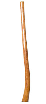 Gloss Finish Didgeridoo (TW1145)